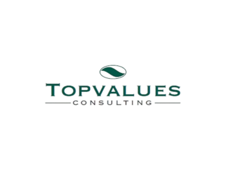 Logo de Topvalues Consulting